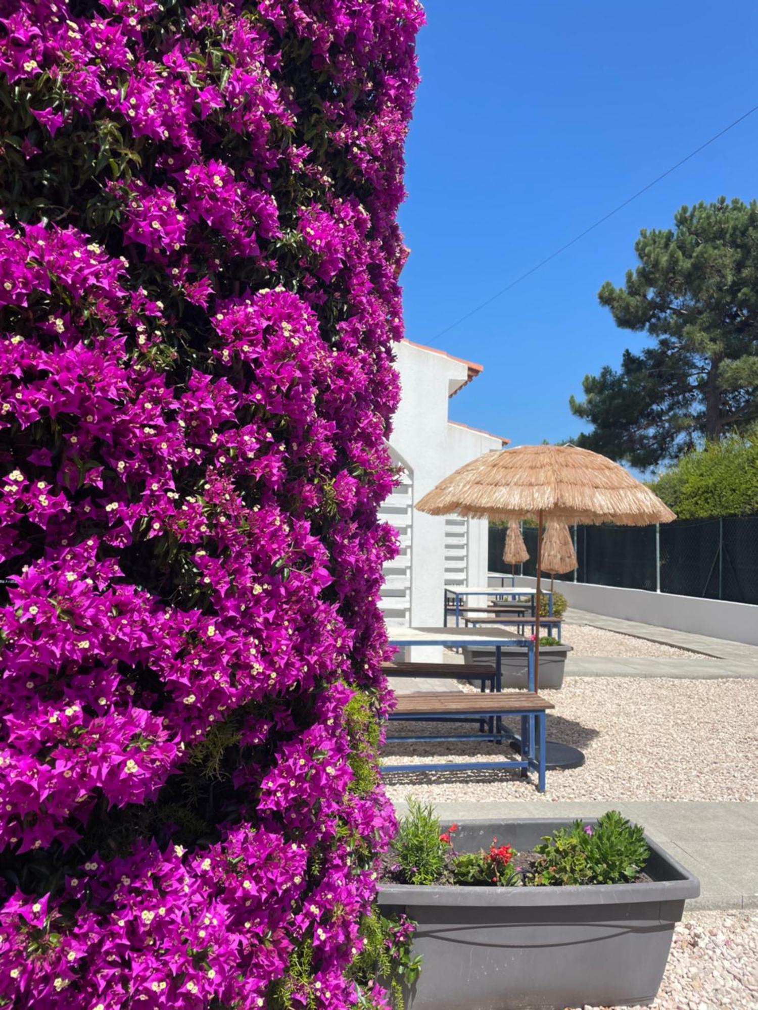 California Dream Inn Aljezur Extérieur photo